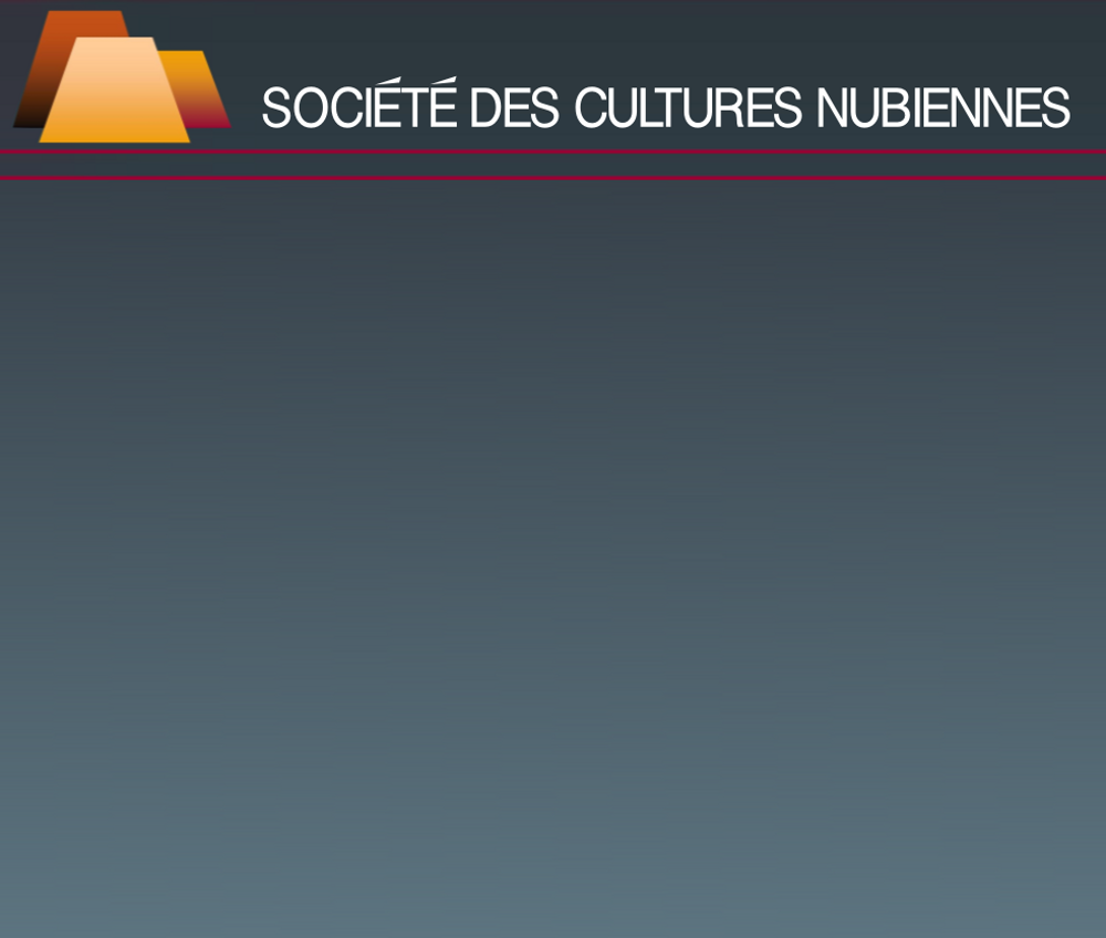 nubie-international.fr